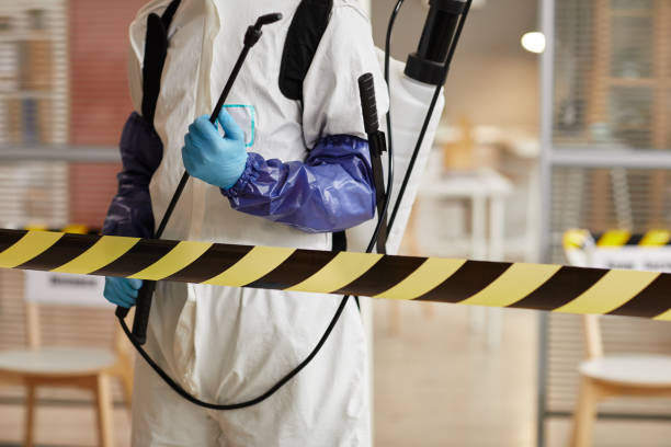 Professional Hoarding Cleanup technician working in Cranford, NJ